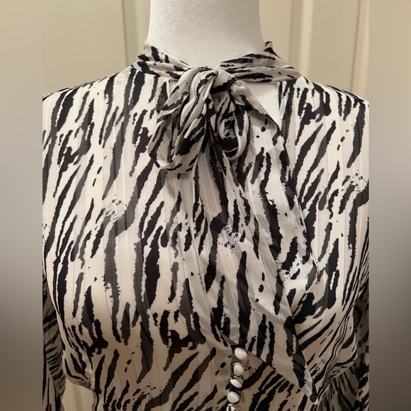 Zebra patterned Dress - Picture 3 of 9